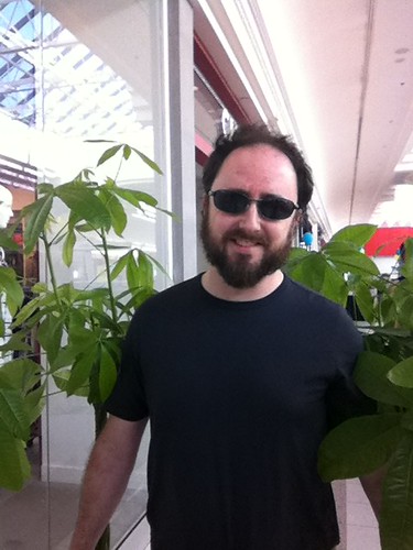 Transporting the new money trees home